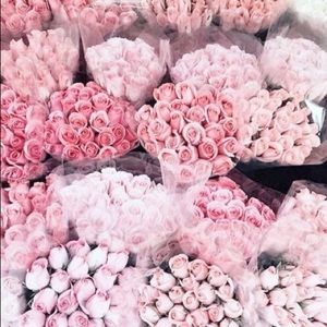 Trade back with Paige!